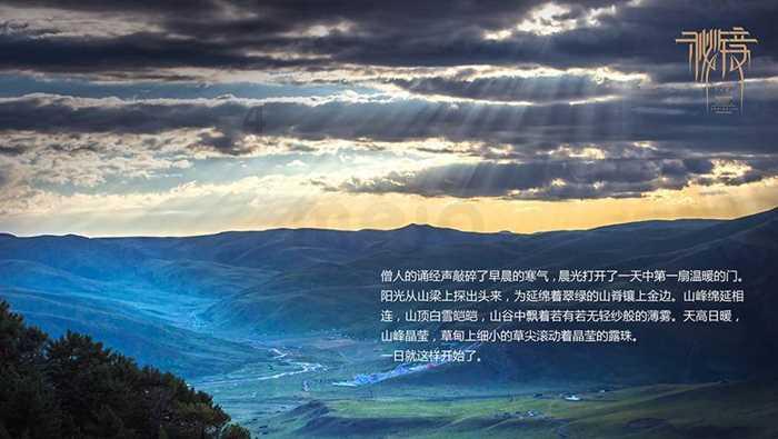 午评：低硫燃料油涨超4%，纯碱跌近4%